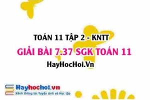 Bài 7.37 SGK Toán 11 Tập 2 Kết nối tri thức